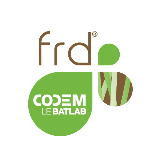 Logo FRD-CODEM