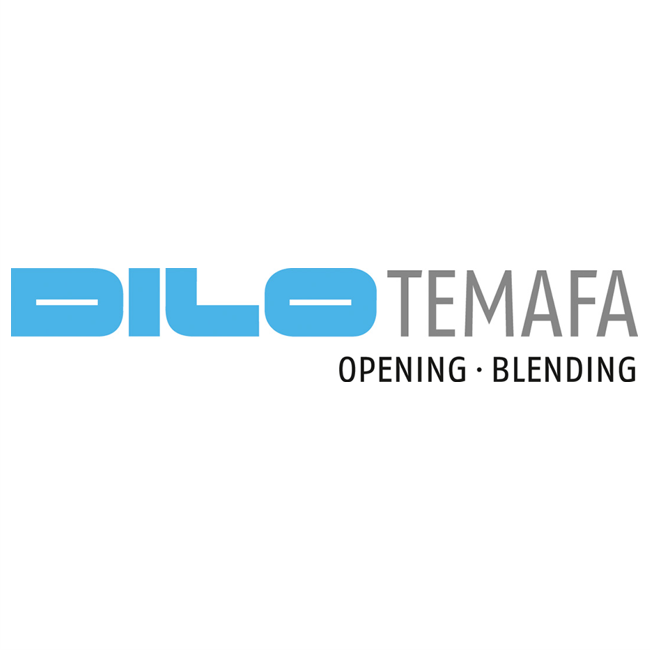 Logo Temafa