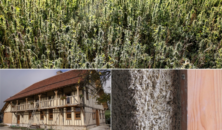 Journée écosystème chanvre bâtiment